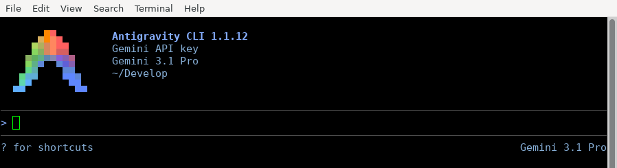 Antigravity CLI authenticated with a Gemini API key, with "Gemini API key" shown in the header in place of an account email